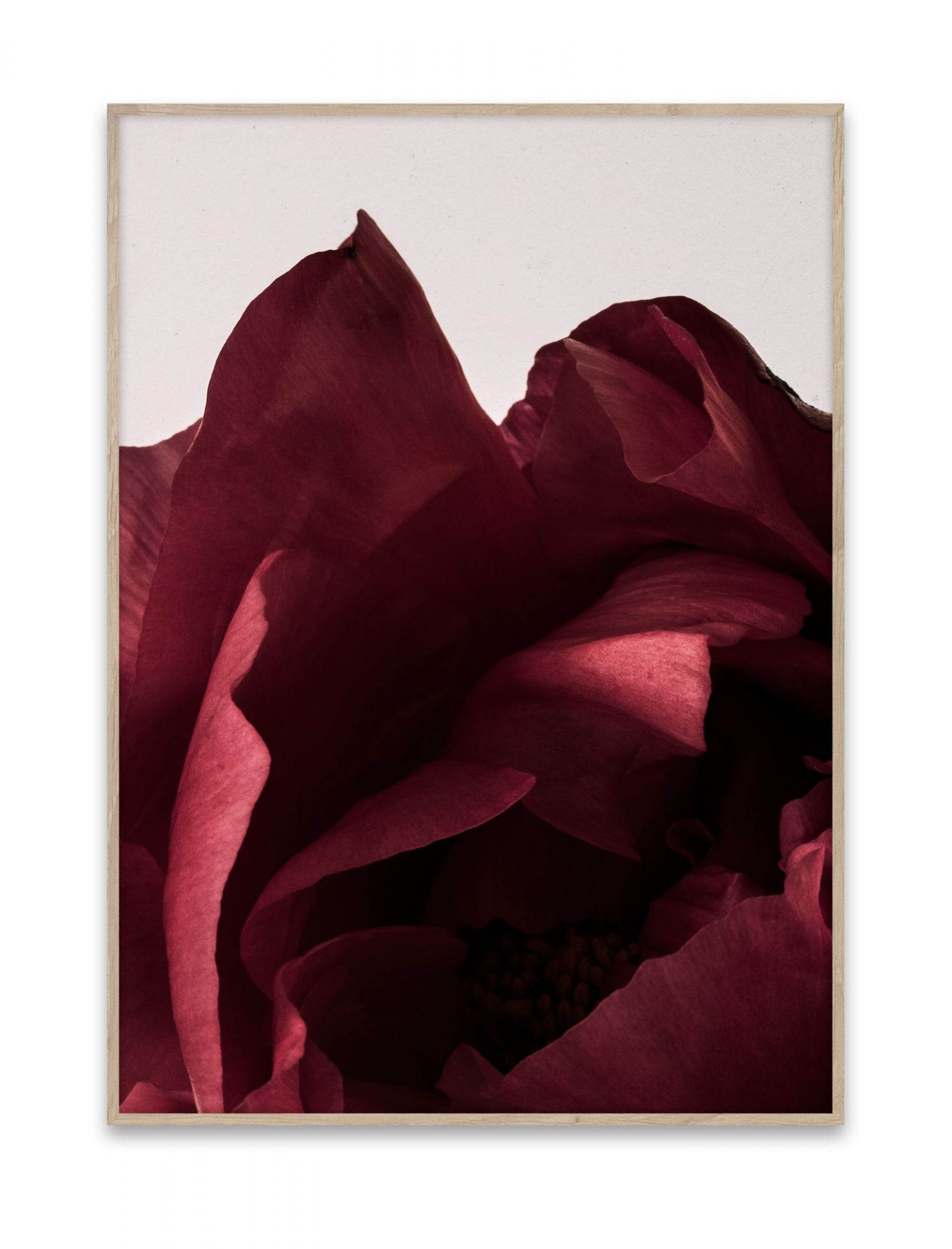 Peonia Poster Paper Collective EINZELSTÜCK